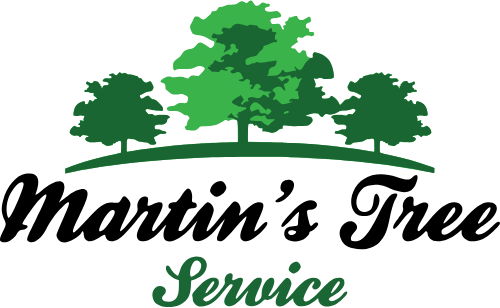 Tree Service in Cape Girardeau, MO - Martin Outdoors, LLC