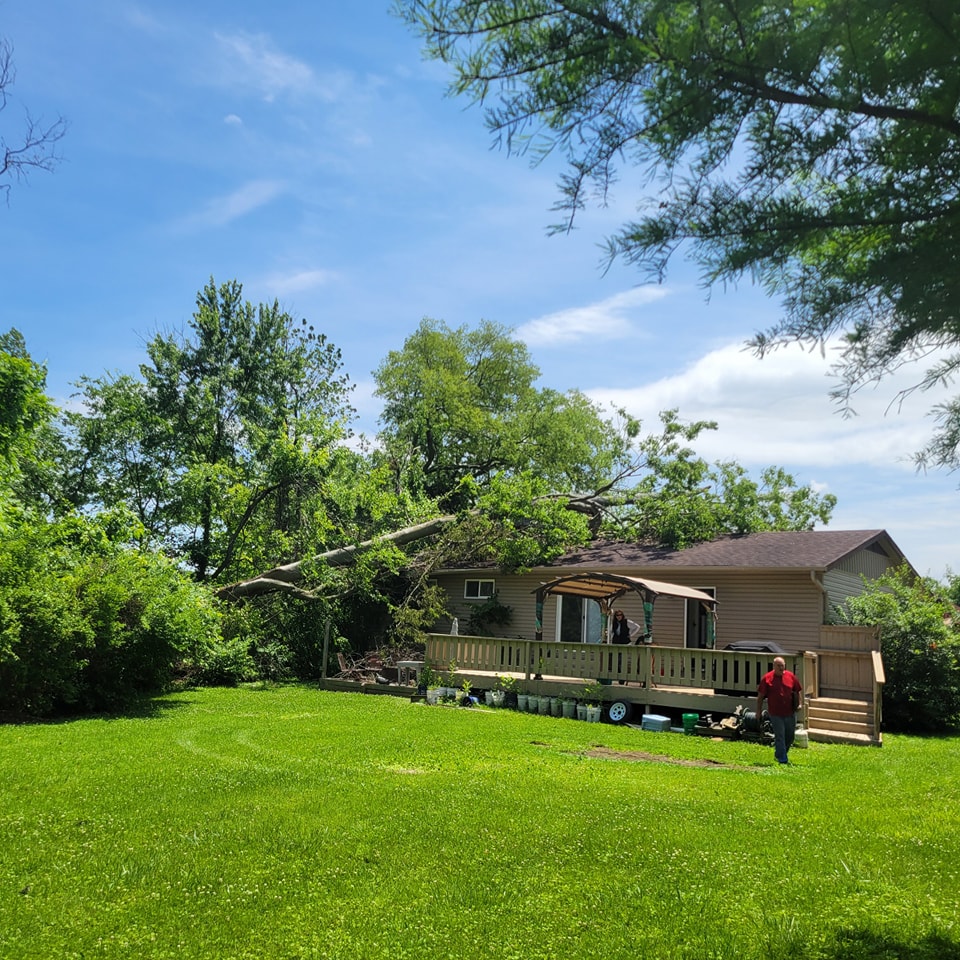 Who Provides Expert Tree Removal Services in Cape Girardeau, MO