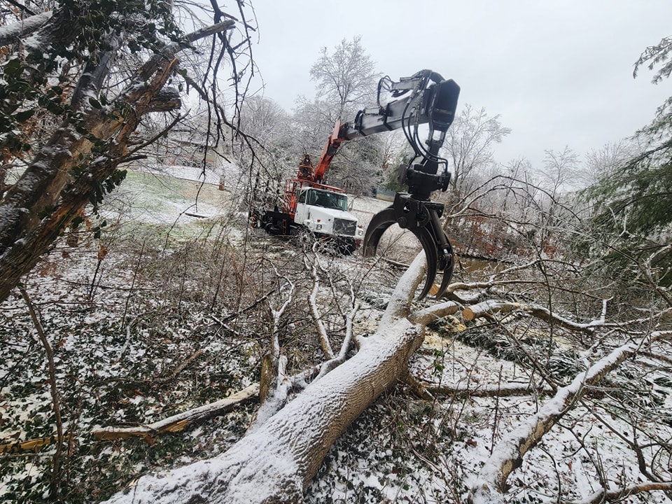 Expert Tree Trimming Service in Cape Girardeau, MO for Property Safety