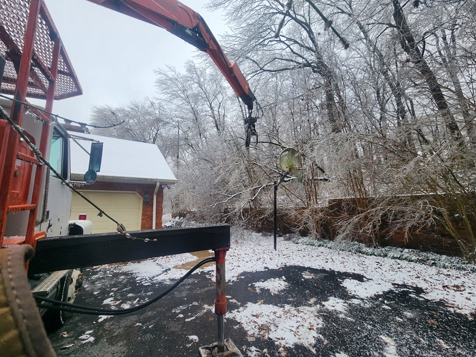 Expert Tree Trimming Service in Cape Girardeau, MO for Property Safety