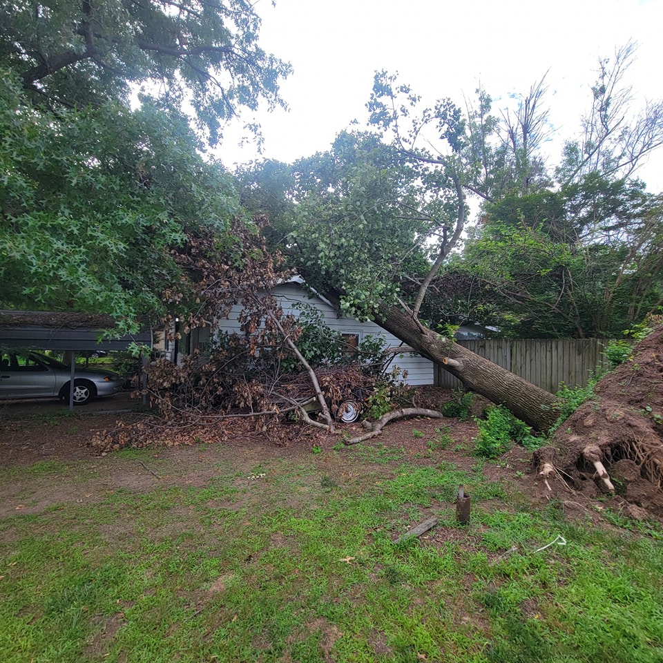 Emergency Tree Services in Cape Girardeau, MO: A Guide for Homeowners