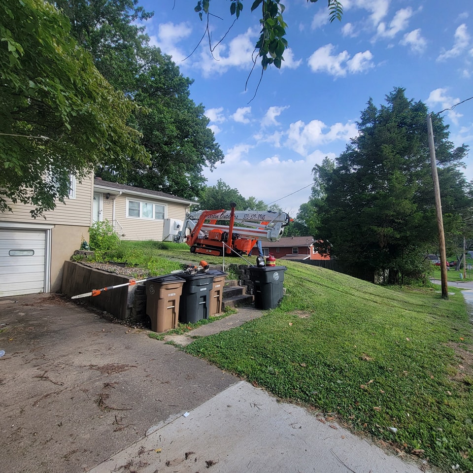 Why You Should Choose Professional Tree Services in Cape Girardeau