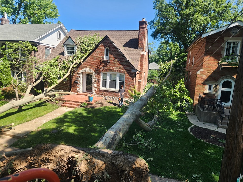 How Tree Services Help Prevent Power Outages in Southeast Missouri