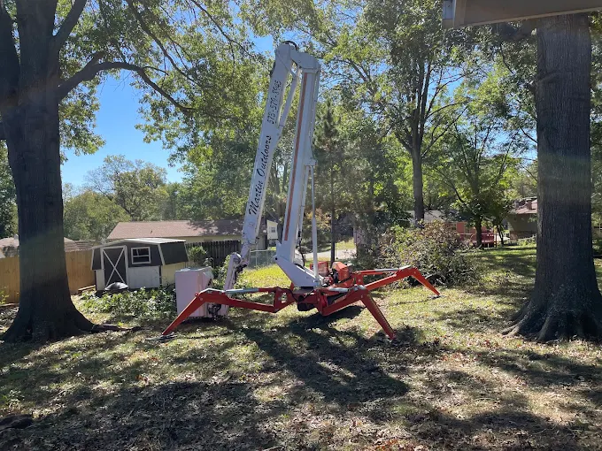 Best Tree Service Company in Cape Girardeau, MO | Martin Tree Service