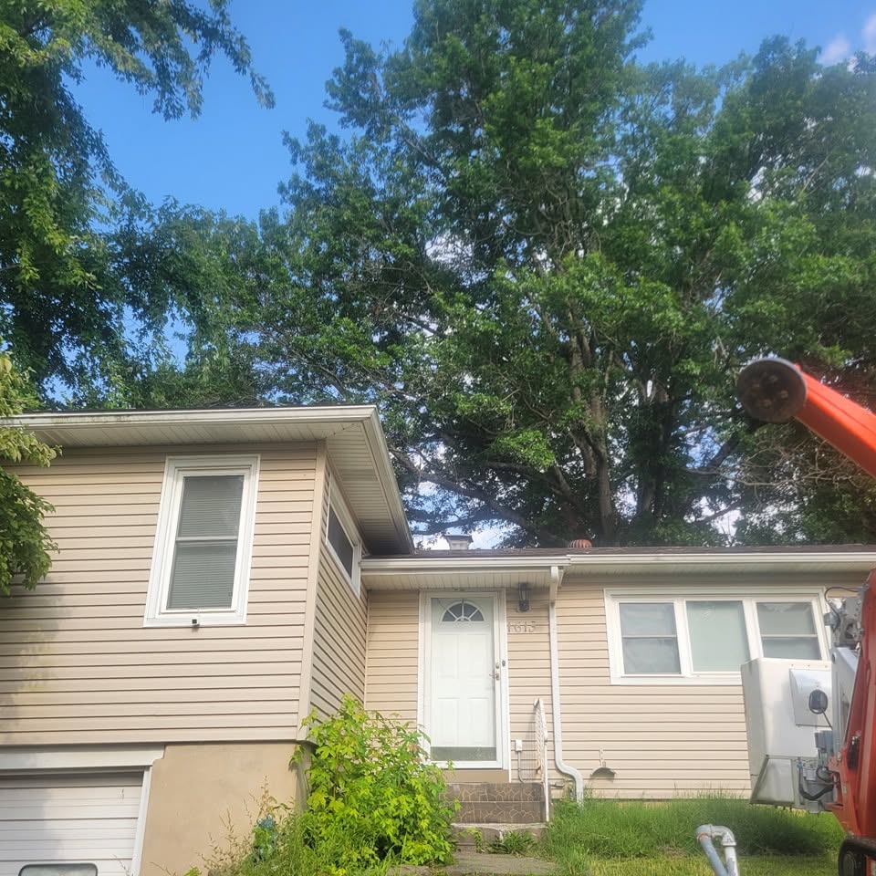 Top Signs You Need Tree Removal in Cape Girardeau, MO