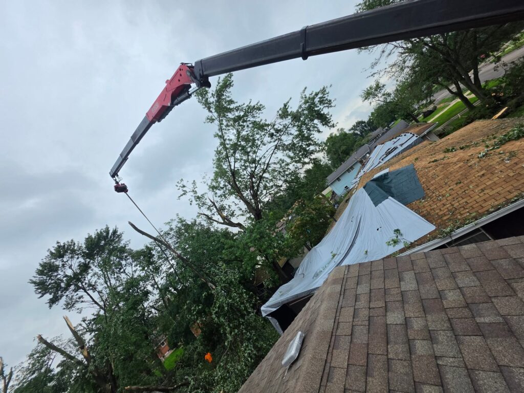 Crane Tree Removal in Cape Girardeau, MO