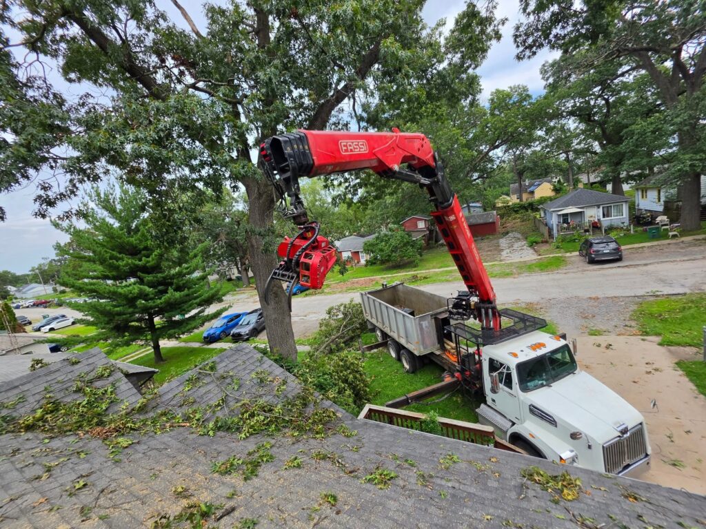Crane Tree Removal in Cape Girardeau, MO